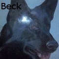 BABeck